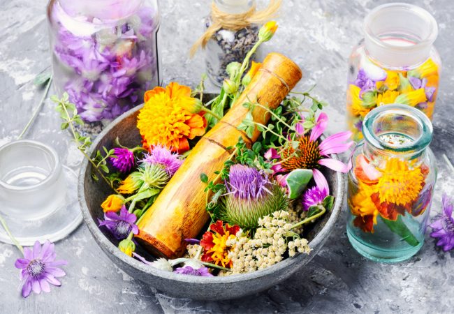 Bachblüten Bachblüten