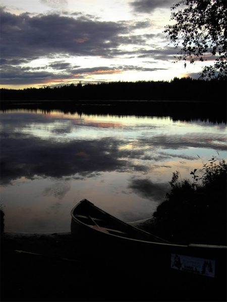 Medizinwanderung Schweden Medizinwanderung